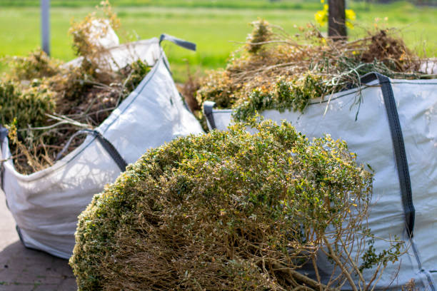 Best Carpet Removal and Disposal  in Clover Creek, WA