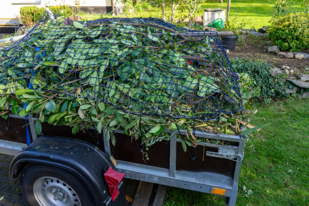 Trusted Clover Creek, WA Junk Removal Services Experts